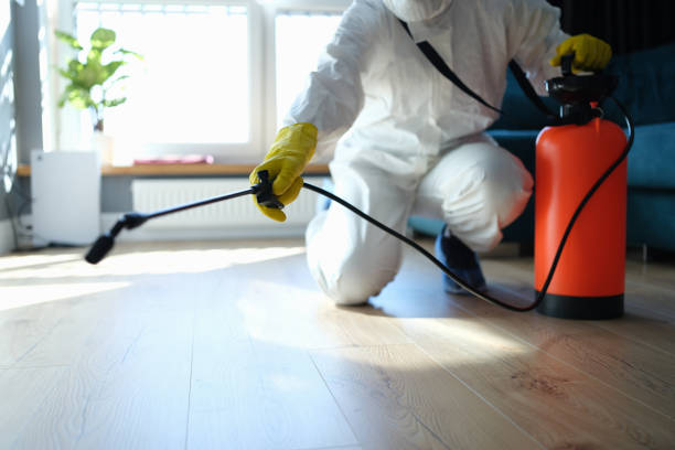 Reliable Odor Removal contractor in Chino, CA by Trauma Clean Pros